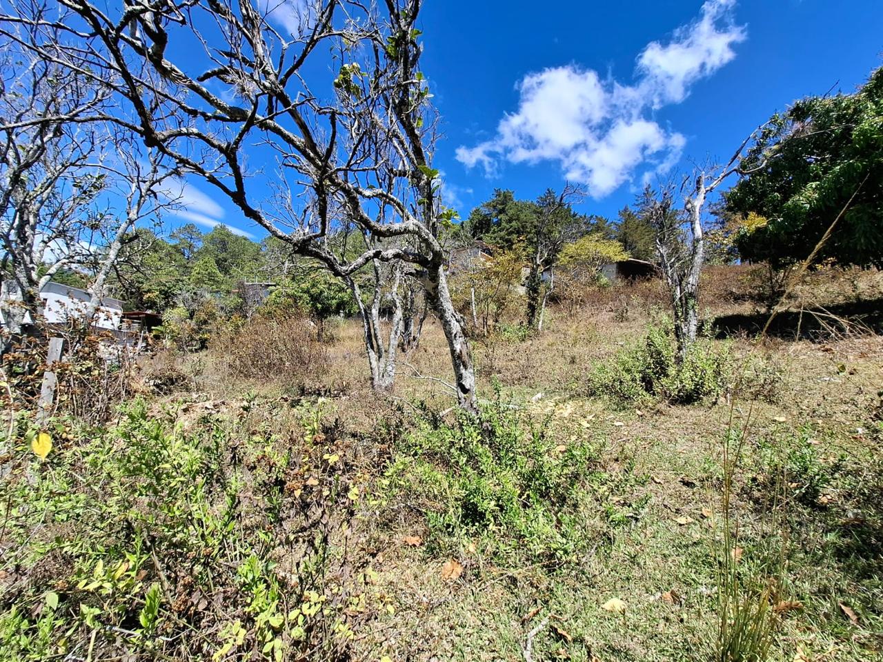 VALLE DE ANGELES, FRANCISCO MORAZÀN